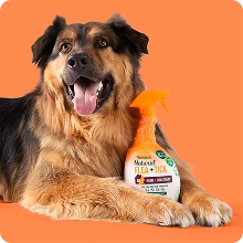 Засоби від бліх та кліщів Flea & Tick