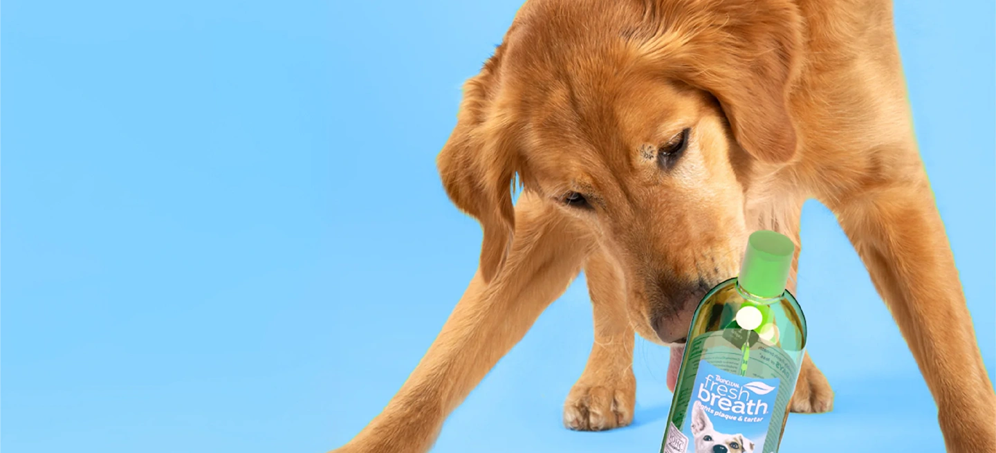 Спеціалізовані шампуні perfectfur